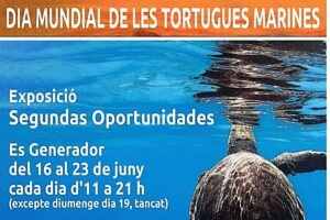 Image World Sea Turtle Day Exhibition
